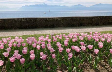 Tulpenfest Morges